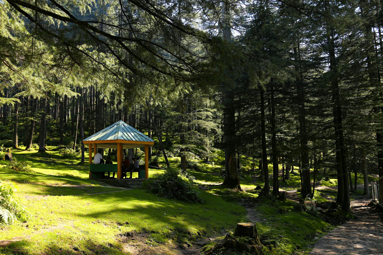Jibhi Tirthan Valley Tour Package